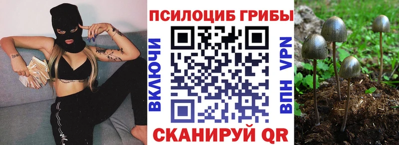 Псилоцибиновые грибы Cubensis  Купить закладки  Энгельс 